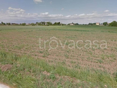 Terreno Agricolo in vendita a Forlì