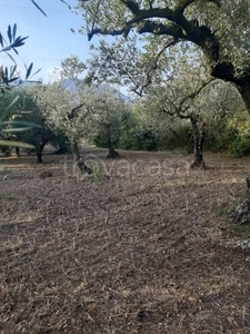 Terreno Agricolo in vendita a Formia via Ponteritto, 61