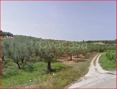 Terreno Agricolo in vendita a Fossacesia contrada Case Palazz