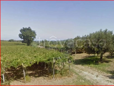 Terreno Agricolo in vendita a Fossacesia contrada Castillano
