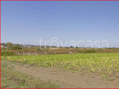 Terreno Agricolo in vendita a Fossacesia contrada Castillano