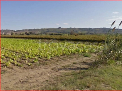 Terreno Agricolo in vendita a Fossacesia contrada Rosoleto