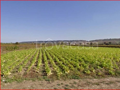 Terreno Agricolo in vendita a Fossacesia contrada Saletti