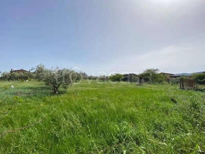 Terreno Agricolo in vendita a Frascati via Cesare Crescenzi