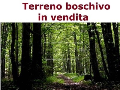 Terreno Agricolo in vendita a Gambassi Terme zona campagna