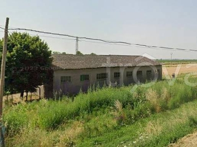 Terreno Agricolo in vendita a Gavello gavello Via Canal Bianco Inferiore, 0