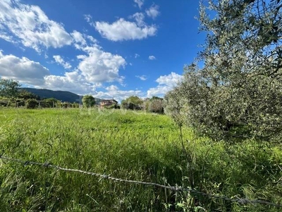 Terreno Agricolo in vendita a Genazzano via Colle Mufiano