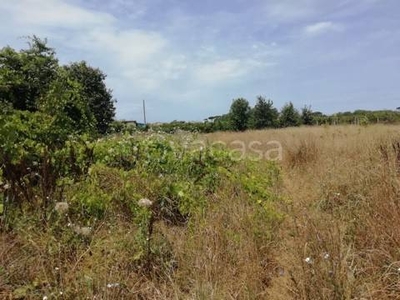 Terreno Agricolo in vendita a Giugliano in Campania strada Provinciale Ripuaria dei Camaldoli, 59
