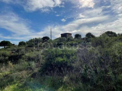 Terreno Agricolo in vendita a Golfo Aranci località Cala Sassari