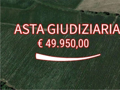 Terreno Agricolo in vendita a Gorgo al Monticano località Navolè