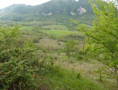 Terreno agricolo in Vendita a Grizzana Morandi Oreglia