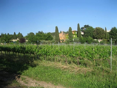 Terreno Agricolo in vendita a Grottaferrata via Anagnina, 20