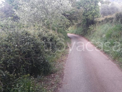 Terreno Agricolo in vendita a Guidonia Montecelio via Colle dell'Oro