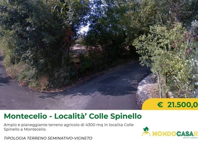 Terreno Agricolo in vendita a Guidonia Montecelio via Colle Spinello
