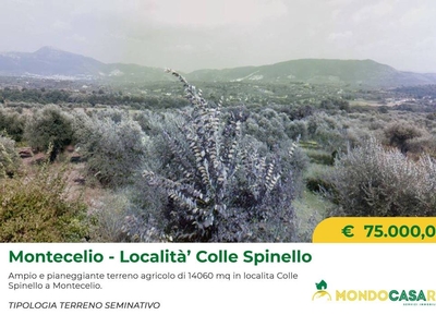 Terreno Agricolo in vendita a Guidonia Montecelio via Colle Spinello