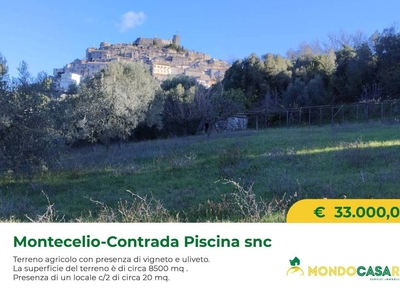 Terreno Agricolo in vendita a Guidonia Montecelio via della Piscina