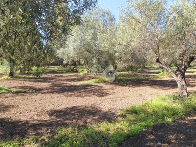 Terreno Agricolo in vendita a Isola di Capo Rizzuto via Villaggio Seleno