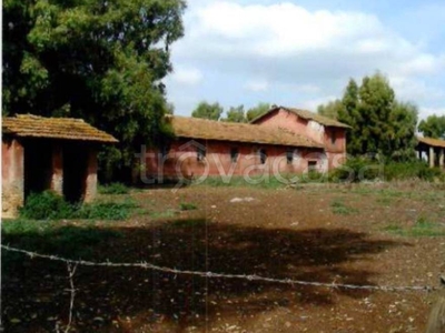 Terreno Agricolo in vendita a Lanuvio via Nettunense