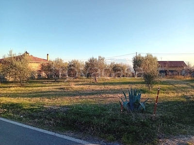 Terreno Agricolo in vendita a Loreto Aprutino contrada Fiorano s.n.c.