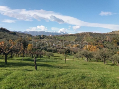 Terreno Agricolo in vendita a Loreto Aprutino contrada Pretore s.n.c.