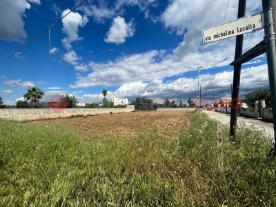 Terreno Agricolo in vendita a Manduria contrada Specchia d'Oria, snc