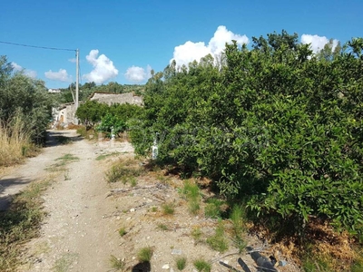 Terreno Agricolo in vendita a Misilmeri