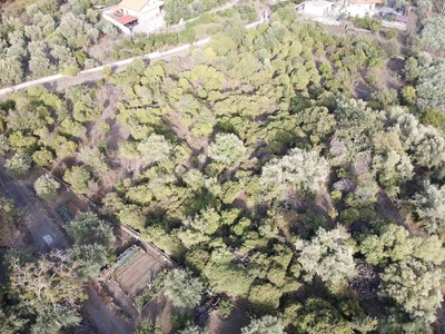 Terreno Agricolo in vendita a Misterbianco via Carrettieri