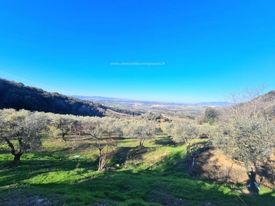 Terreno Agricolo in vendita a Montaione località Iano