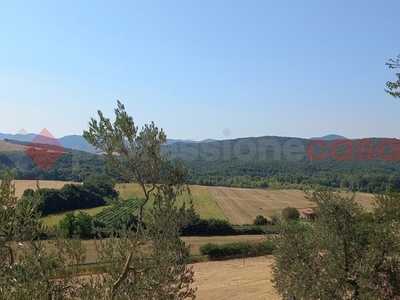 Terreno Agricolo in vendita a Montecatini Val di Cecina