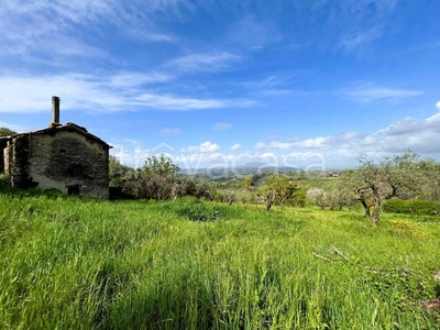 Terreno Agricolo in vendita a Montopoli di Sabina via Fontanelle