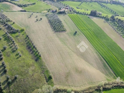 Terreno Agricolo in vendita a Mosciano Sant'Angelo contrada Fosso Grande, 1