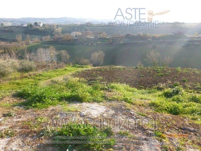 Terreno Agricolo in vendita a Mosciano Sant'Angelo zona Santa Maria Assunta/s.p.-, 15c