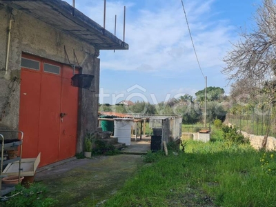 Terreno Agricolo in vendita a Motta Sant'Anastasia contrada Santa Lucia