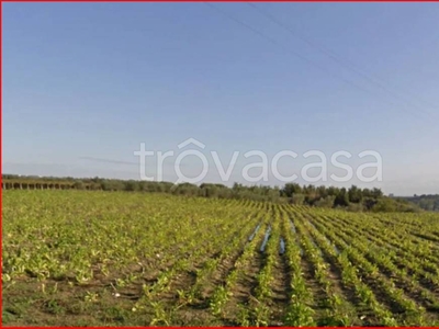 Terreno Agricolo in vendita a Mozzagrogna contrada Rosciavizza