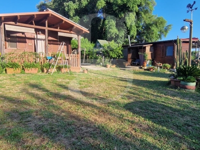 Terreno Agricolo in vendita a Nettuno nettuno Ragusa