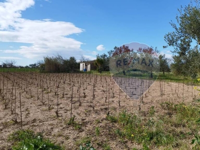 Terreno Agricolo in vendita a Noto riserva Vendicari