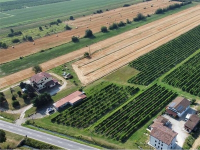 Terreno Agricolo in vendita a Novi di Modena via serragli