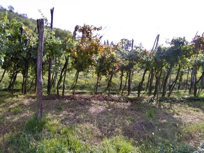 Terreno Agricolo in vendita a Ome via Battola