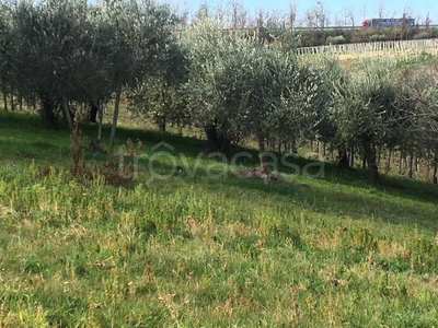 Terreno Agricolo in vendita a Ortona strada Provinciale Ex Adriatica 1
