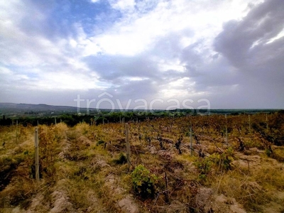 Terreno Agricolo in vendita a Osilo strada Provinciale 29 s.n.c.