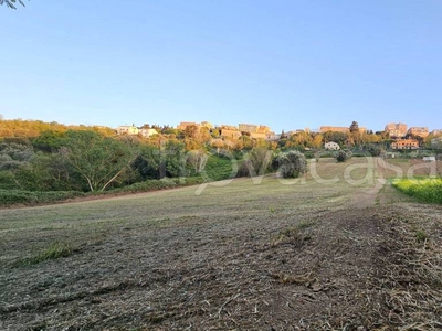 Terreno Agricolo in vendita a Osimo via Montecesa