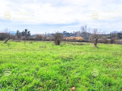 Terreno Agricolo in vendita a Palombara Sabina località Albanetta