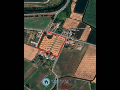 Terreno Agricolo in vendita a Pernumia via Maseralino