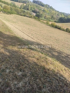 Terreno Agricolo in vendita a Pesaro via del novecento