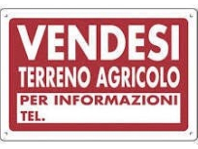 Terreno Agricolo in vendita a Pietrasanta