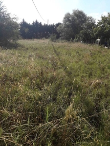 Terreno Agricolo in vendita a Pieve a Nievole