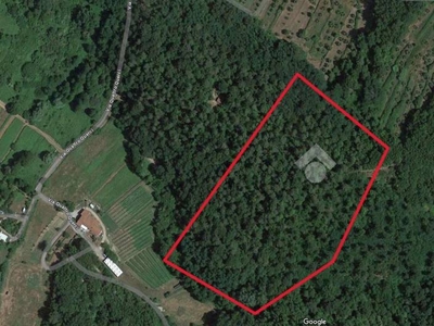 Terreno Agricolo in vendita a Pieve a Nievole bosco Via Giacomo Matteotti, 84