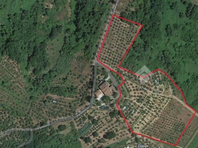 Terreno Agricolo in vendita a Pieve a Nievole terreno Agricolo Via Giacomo Matteotti, 84
