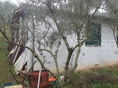 Terreno Agricolo in vendita a Piglio via Anagni Piglio, 25