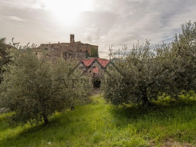 Terreno Agricolo in vendita a Pomarance via Michelangelo Buonarroti,